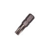 TORX Driver Bits