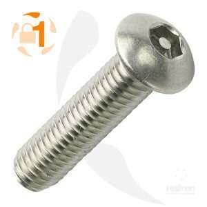 Button Head A2 pin hex screw