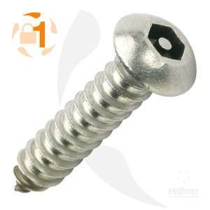 Button Head A2 Pin Hex Self Tapper